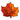 Maple leaf cookie iced in orange and red