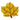 Maple leaf cookie iced in yellow with brown veins