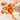 Dreamfarm Orange Fluicer