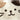 Cat bath mat White lifestyle