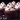 Sweetapolita bat and ghost confetti sprinkles on Halloween dessert
