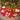 Holiday Cheer tree skirt under a lit Christmas tree with wrapped gifts
