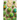 Roar + Explore Sprinkles - Contents