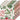 Four Winterberry napkins printed with red berries and evergreen branches