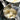 RSVP jumbo potato ricer filled with cut potatoes, resting over a pot
