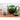 Finum teapot-size flip filter beside a green teapot