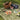 Danica Picnic Blanket