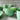Jadeite Glass Bowl