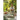 Fern & Frond Melamine Dinnerware