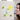Avocado Magnets - Environment