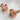 Fodory Animal Brushes group