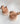 Fodory Animal Brushes group