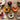 Colorful ceramic dishes shaped like chickens on a wooden surface with eggs and a bottle of soy sauce.