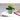Fisura - Original Flower Pot Eye Design