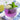 OGGI Citrus Cocktail Picks — Lemon, Orange & Lime