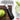 OXO Zester in use