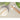 Helen's Asian Kitchen Sushi Chopsticks