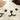 Cat bath mat White lifestyle