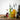 Tablecraft Toothpick Dispenser lifestyle