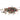 Terre Exotique 5 Peppercorn Blend 60g