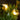 Kikkerland Bee Solar String Lights — in use