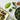 Looseleaf greens stripper resting on a kitchen counter