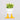 Kikkerland Duck Feet Planter