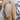 Opinel Parallele Bread Knife serrated blade detail