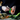 Hands using a green T-Duo peeler on a zucchini