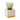 Paddywax Tulip Glass Candle Wisteria and Willow green