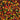 Sweetapolita autumn confetti sprinkles 3oz bottle
