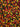 Sweetapolita autumn confetti sprinkles 3oz bottle