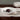 Aquarius Oyster Dinnerware