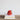 Fruits Stoneware Measuring Cups Set-4