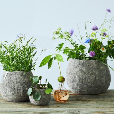 Planters & Accessories