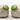 Pair of Cosmos Gifts garlic bulb salt and pepper shakers with green tops