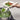 Coastal Slotted Spoon