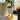 Kikkerland Duck Feet Planter