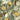 Boston International Autumn Acorn napkins sage green with acorns