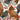 Marimekko Ketunmarja white cocktail napkins forest botanicals