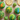 Roar + Explore Sprinkles - Contents