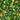 Roar + Explore Sprinkles - Detail