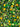 Roar + Explore Sprinkles - Detail