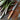 Le P'tit Tradi Paring Knife