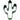 Green Cactus Cookie Cutter