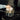 Goldilocks Tri Ply Clad Saucepan