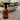 Amber kitchen spray bottle on a counter beside a bowl of salad greens