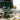 Green Marcato Atlas 150 pasta machine in a kitchen with fresh pasta