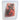 Stasher reusable silicone half-gallon storage bag in clear with salmon-colored seal, flexible, durable, and eco-friendly for food storage.