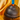 The Plunger